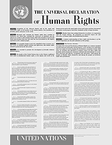 Declaración Universal de los Derechos Humanos