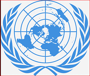 ORGANIZACON DE LAS NACIONES UNIDAS (ONU)