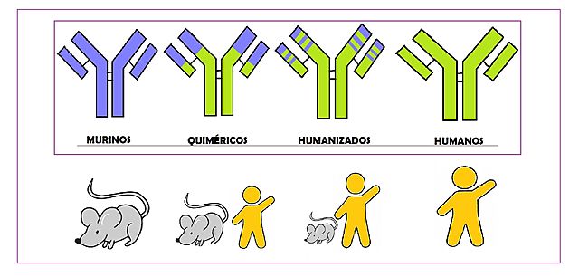 Teorias reguladoras de la inmunidad