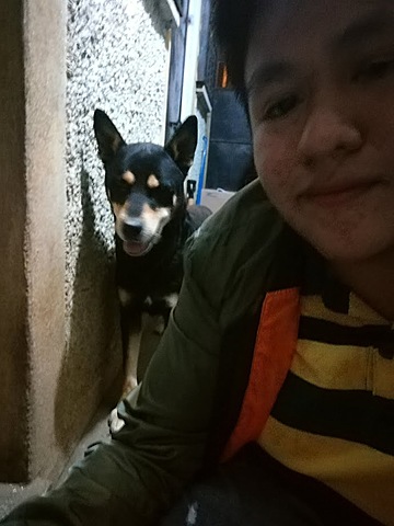 Adopté a un perrito