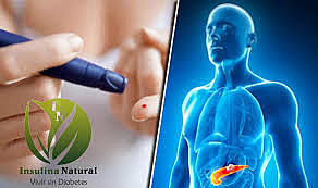 Cuantificación del complejo insulina/anti-sulina