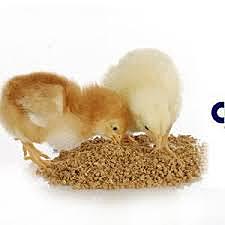 la nutrición animal