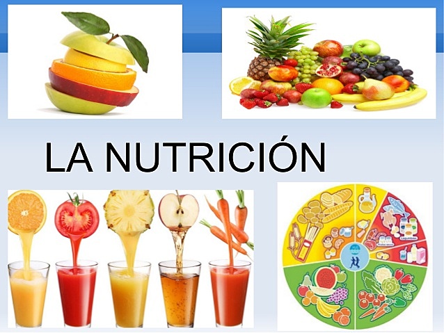 la nutrición humana