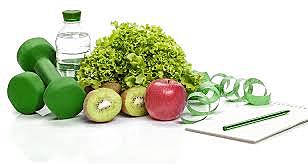 las plantas se alimenta de de los restos orgánicos o humus