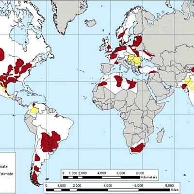 Timeline:  Evaluation & Assessment