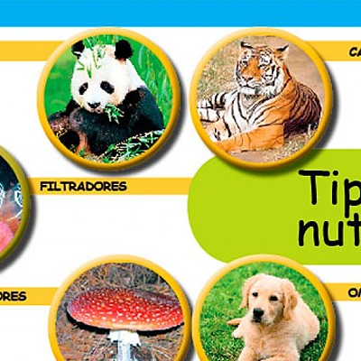 Timeline: NUTRICIÓN EN SERES VIVOS