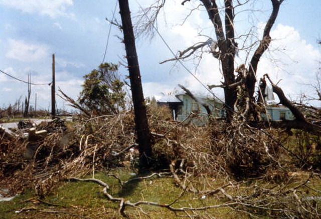 Hurricane Andrew