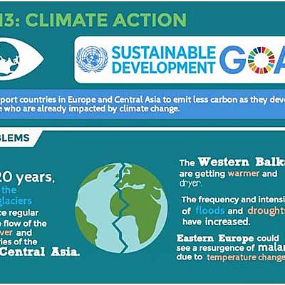 Timeline: Follow up and Dissemination