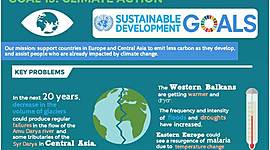 Timeline: Follow up and Dissemination