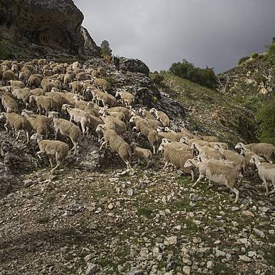 Timeline: Pecado de omisión