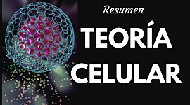 Timeline: TEORIA CELULAR