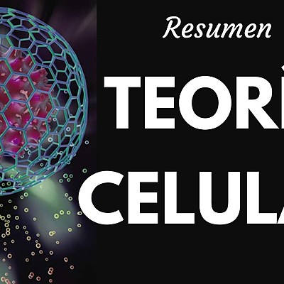 Timeline: TEORIA CELULAR