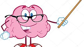 Timeline: LA EVOLUCIÓN DEL SISTEMA NERVIOSO