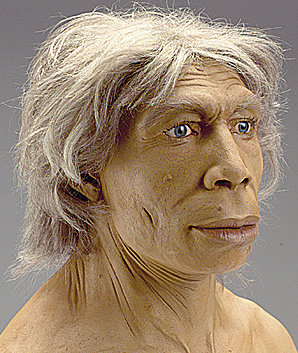 Homo NEANDERTHALENSIS