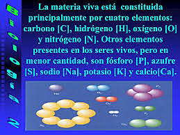 Carbón, nitrógeno, hidrógeno y oxígeno