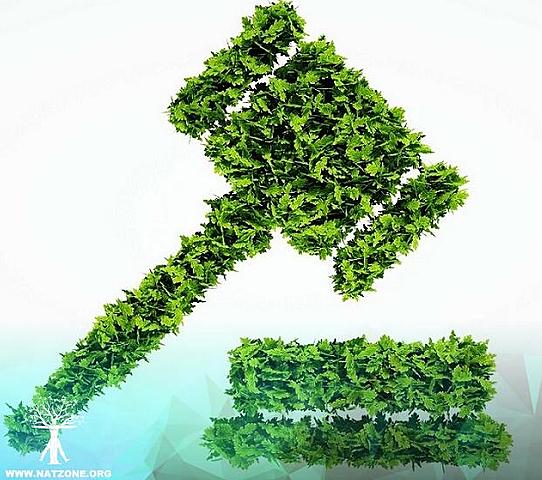 Leyes del Medio Ambiente