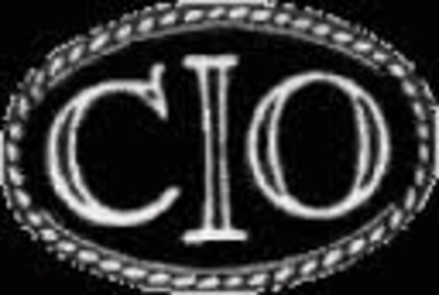 Congress of Industrial Organization (1935- 1955)