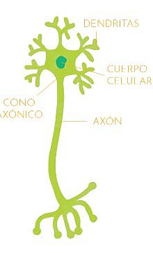 800 millones de años