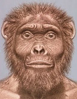 Australopithe. GARHI