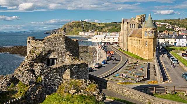 Beetles become a distraction