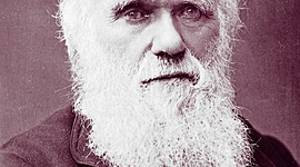 Timeline: Henning, PHIL202, Charles Darwin 1809-1882