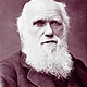 Charles darwin photograph by herbert rose barraud, 1881 2