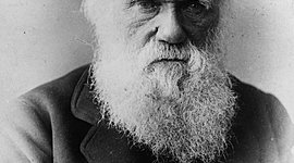 Timeline: Charles Darwin's Theory of Natural Selection