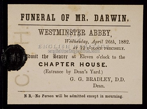 Darwin's Death