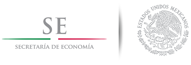 Autorización de denominación o razón social por internet