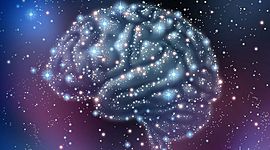 Timeline: EVOLUCIÓN DEL CEREBRO