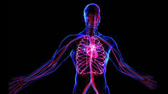 CAPACIDAD DEL CEREBRO