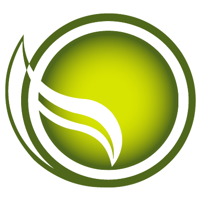 Timeline: The History of Olive