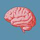 Vintage illustration of a brain