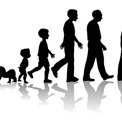 Timeline:  Desarrollo cognitivo del ser