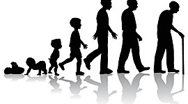 Timeline:  Desarrollo cognitivo del ser