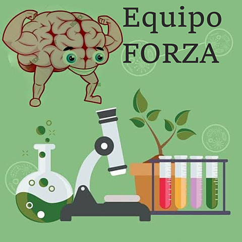 Equipo forza