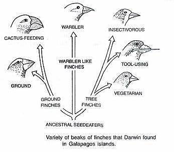 Charles Darwin publishes On the Origins of Species