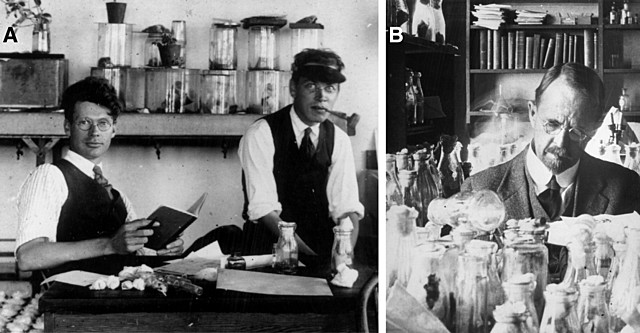 El primer mapa genético.