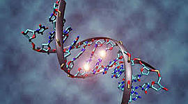 Timeline: Historia del Gen.