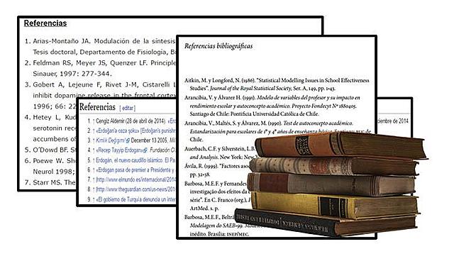 Referencias Bibliográficas