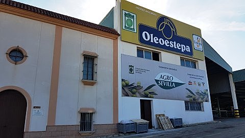 Visitas museo oleoestepa