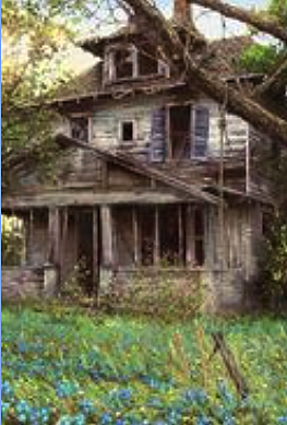 UNA CASA DIFERENTE DE LAS DEMÁS