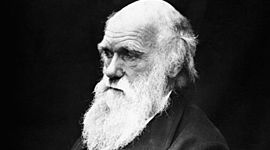 Timeline: Darwin según Juan Bermejo