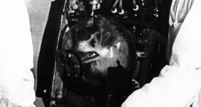 28 May 1959 - First creatures to return alive from space