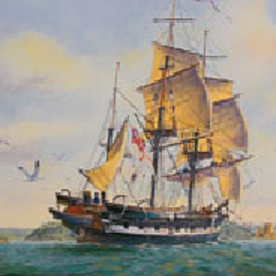 Timeline: Darwins Oberservations