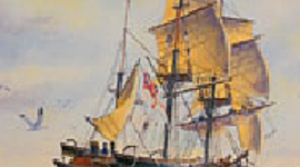 Timeline: Darwins Oberservations