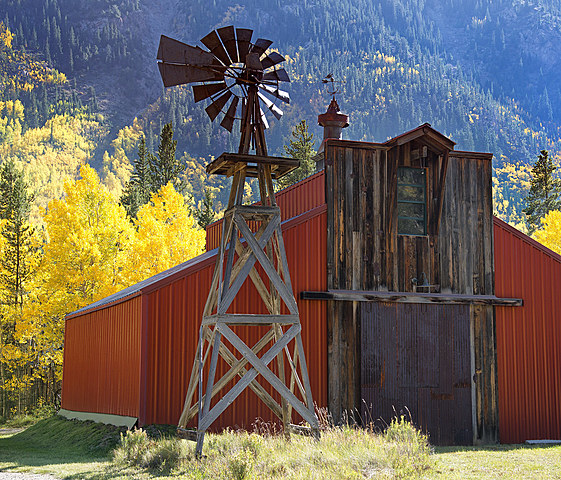 Annabelle brings toby to the barn
