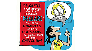 The Delegates Vote