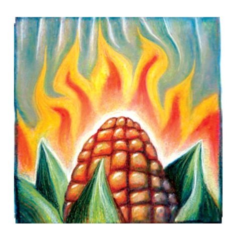 Battle of Burnt Corn