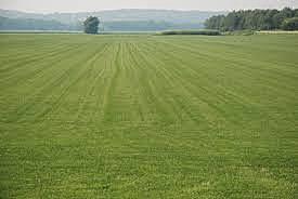 The Northwest Ordinance